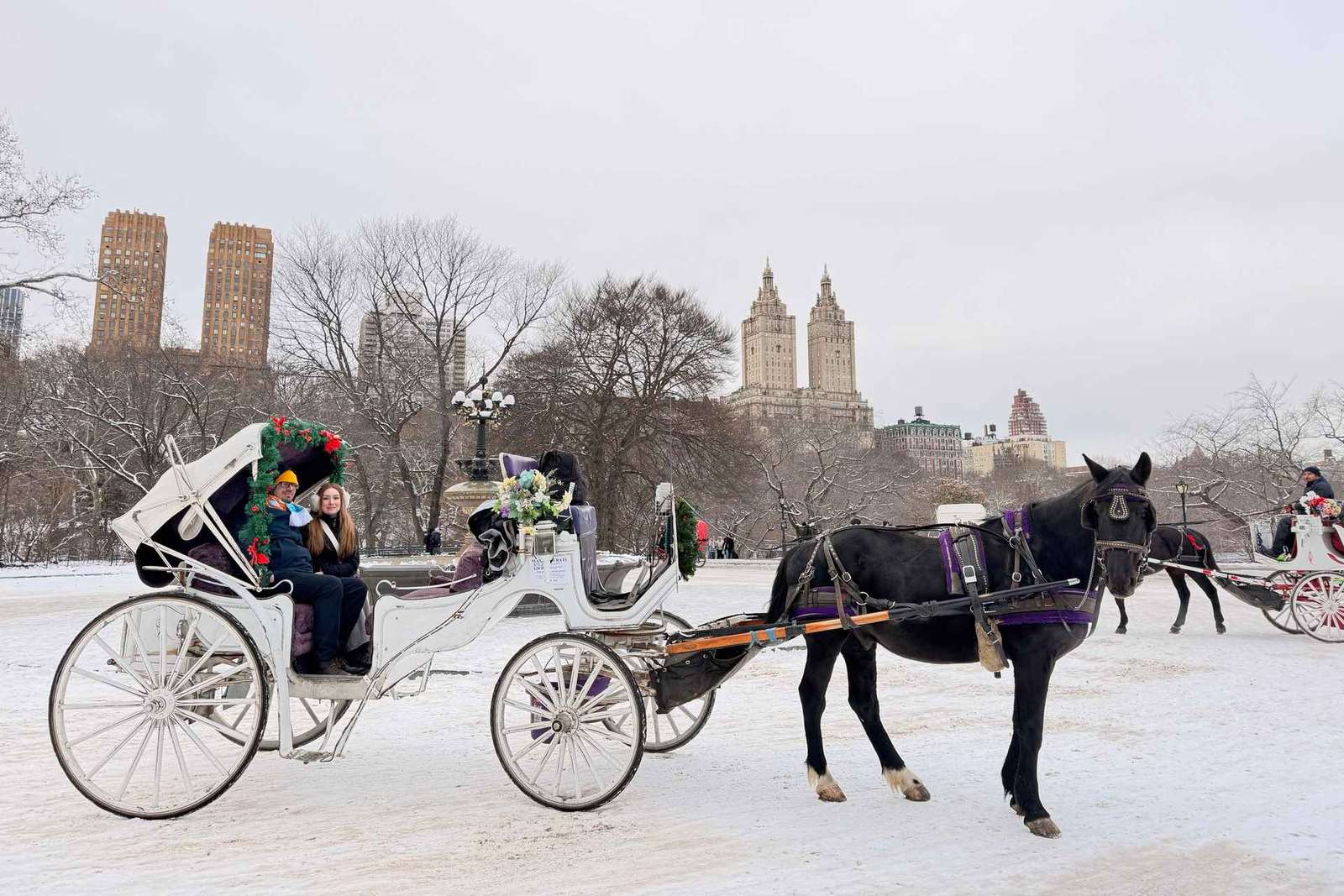 Nueva York: increíble paseo en carruaje de caballos por Central Park con guía
