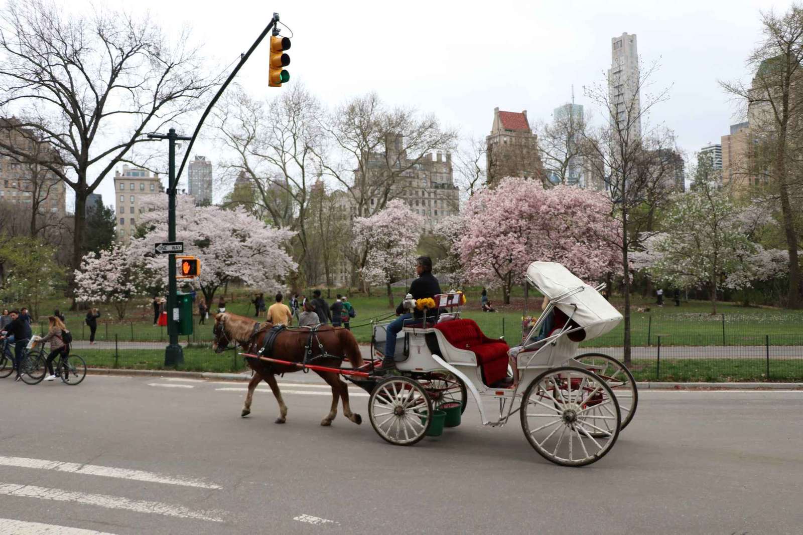 Nueva York: paseo en carruaje de caballos por Central Park
