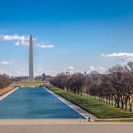 Desde NYC: Lo más destacado de Washington Visita guiada de 15 horas