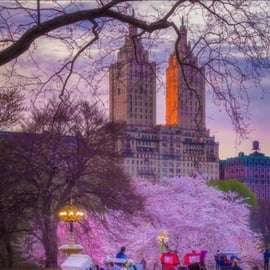 Nueva York: increíble paseo en carruaje de caballos por Central Park con guía