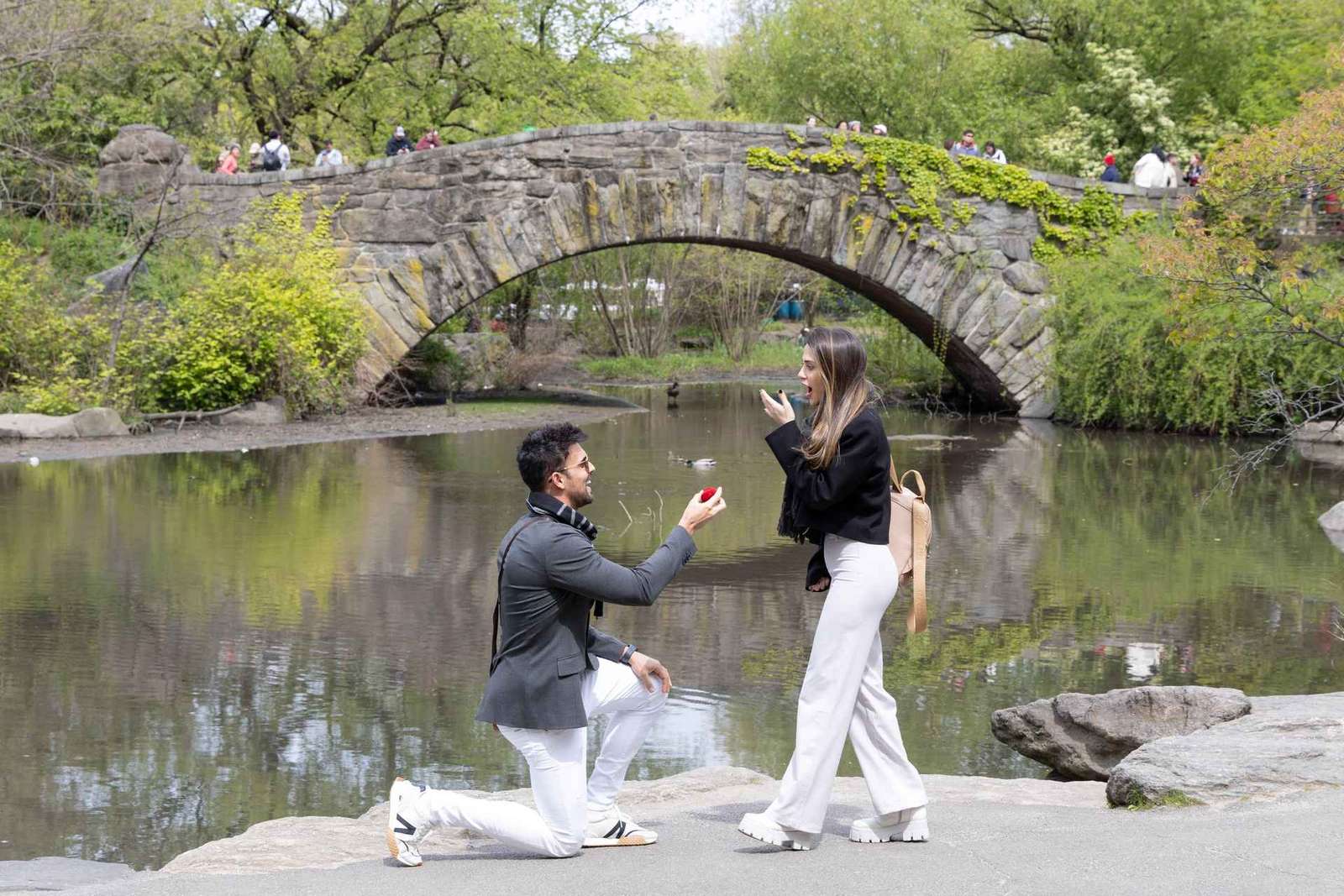 Nueva York: Sesión fotográfica de propuesta de matrimonio sorpresa: captura el «sí» para siempre.
