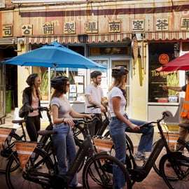 ¡Recorrido en bici por el centro de la ciudad con Stylish Dutch Bikes!