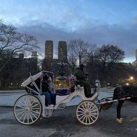 Nueva York: increíble paseo en carruaje de caballos por Central Park con guía