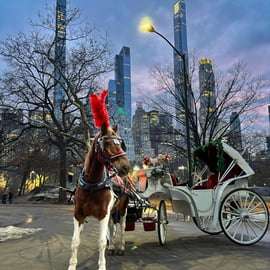 Nueva York: paseo oficial en carruaje de caballos por Central Park