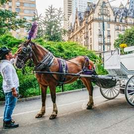 NUEVA YORK Paseo guiado en coche de caballos por Central Park