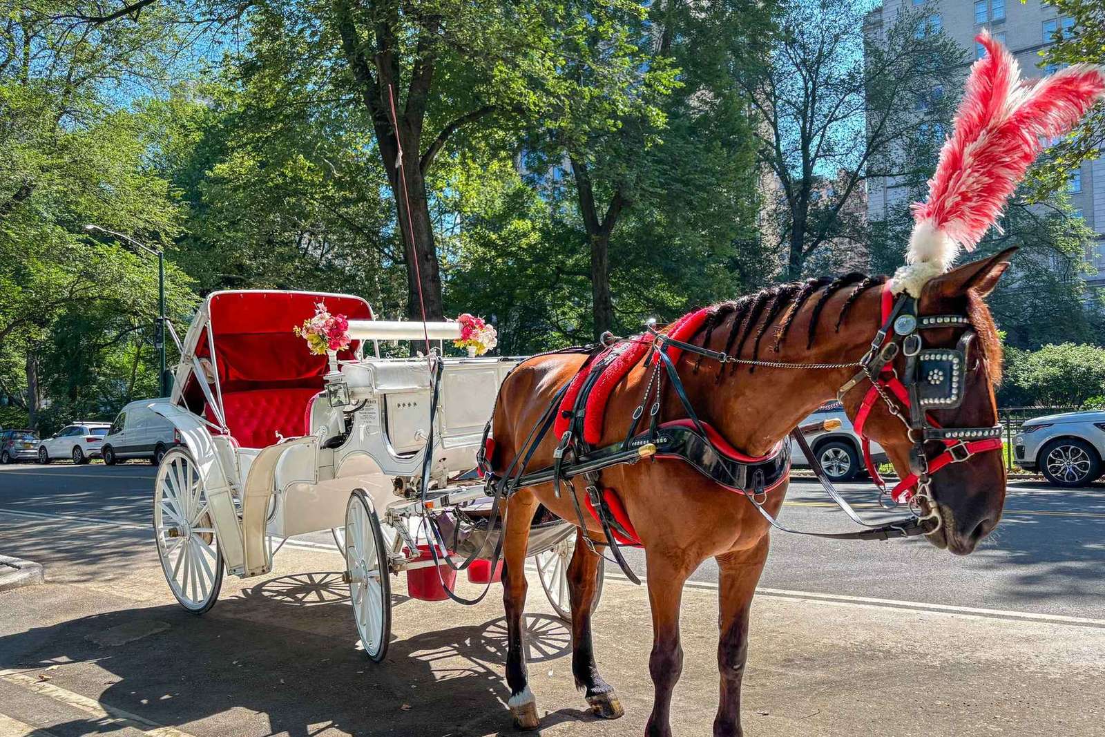 Nueva York: paseo oficial en carruaje de caballos por Central Park
