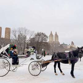 Nueva York: increíble paseo en carruaje de caballos por Central Park con guía