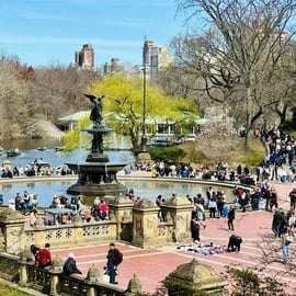 NYC: Recorrido en bicitaxi por Central Park / Paradas fotográficas