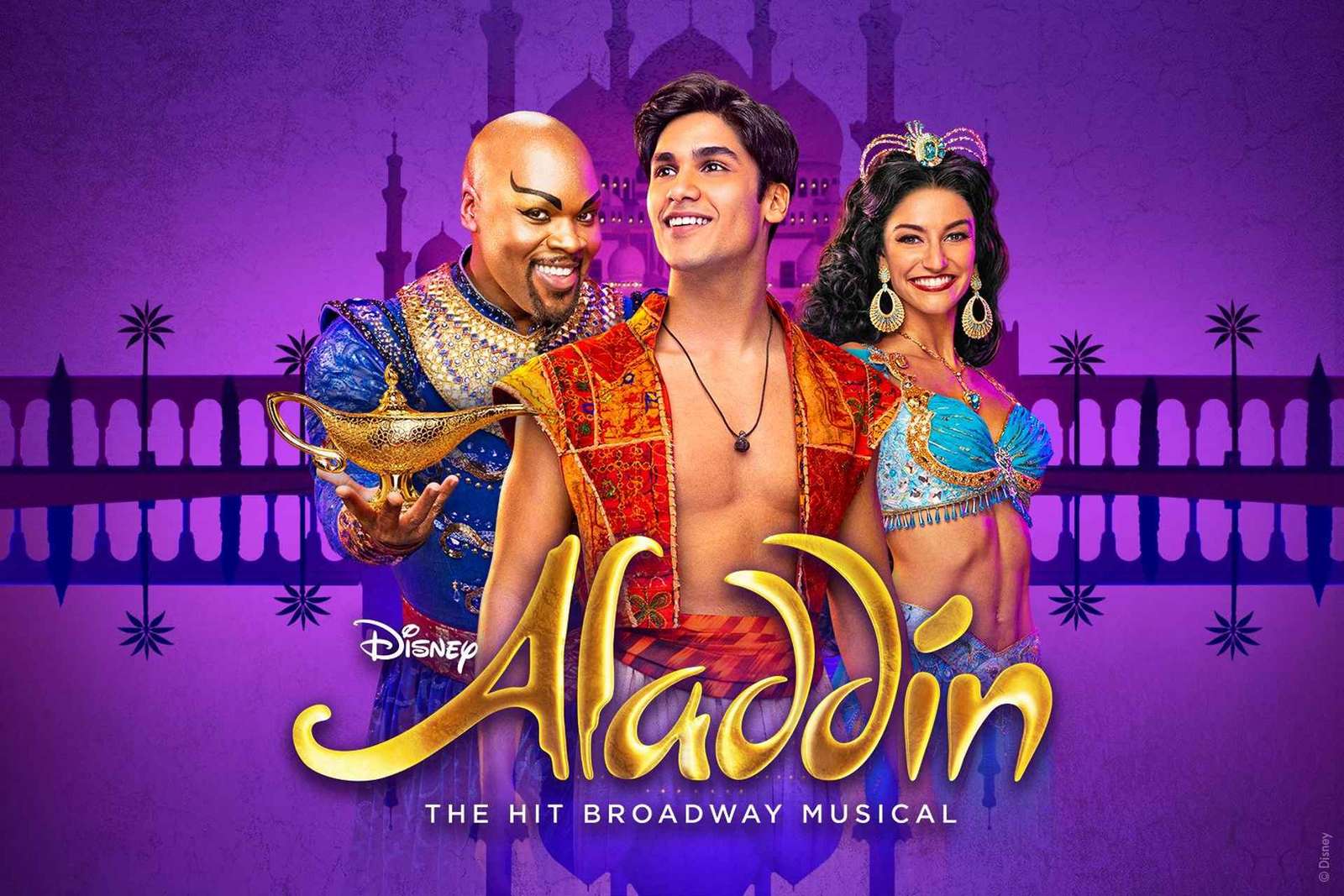 Ciudad de Nueva York Aladdin en Broadway Ticket de entrada