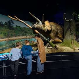 Nueva York: ticket de entrada al Museo Americano de Historia Natural