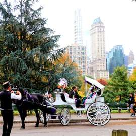 NYC: Paseo en coche de caballos por Central Park (hasta 4 adultos)