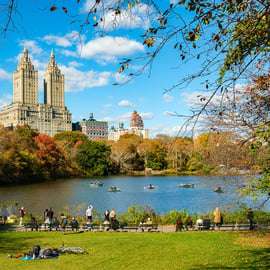 NYC: Visita guiada en bicitaxi privado por Central Park (60 min.)