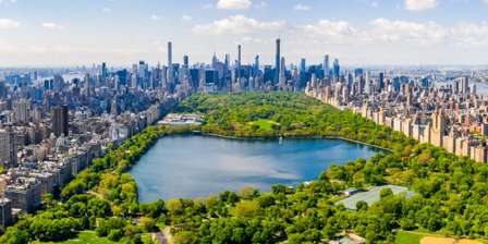 Disfruta de los cerezos en Brooklyn Botanic Garden sin aglomeraciones