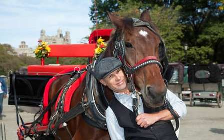 Central Park: Paseo corto en coche de caballos (hasta 4 adultos)
