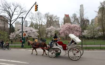 Nueva York: paseo en carruaje de caballos por Central Park