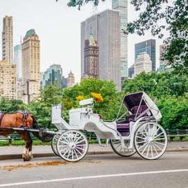NUEVA YORK Paseo guiado en coche de caballos por Central Park