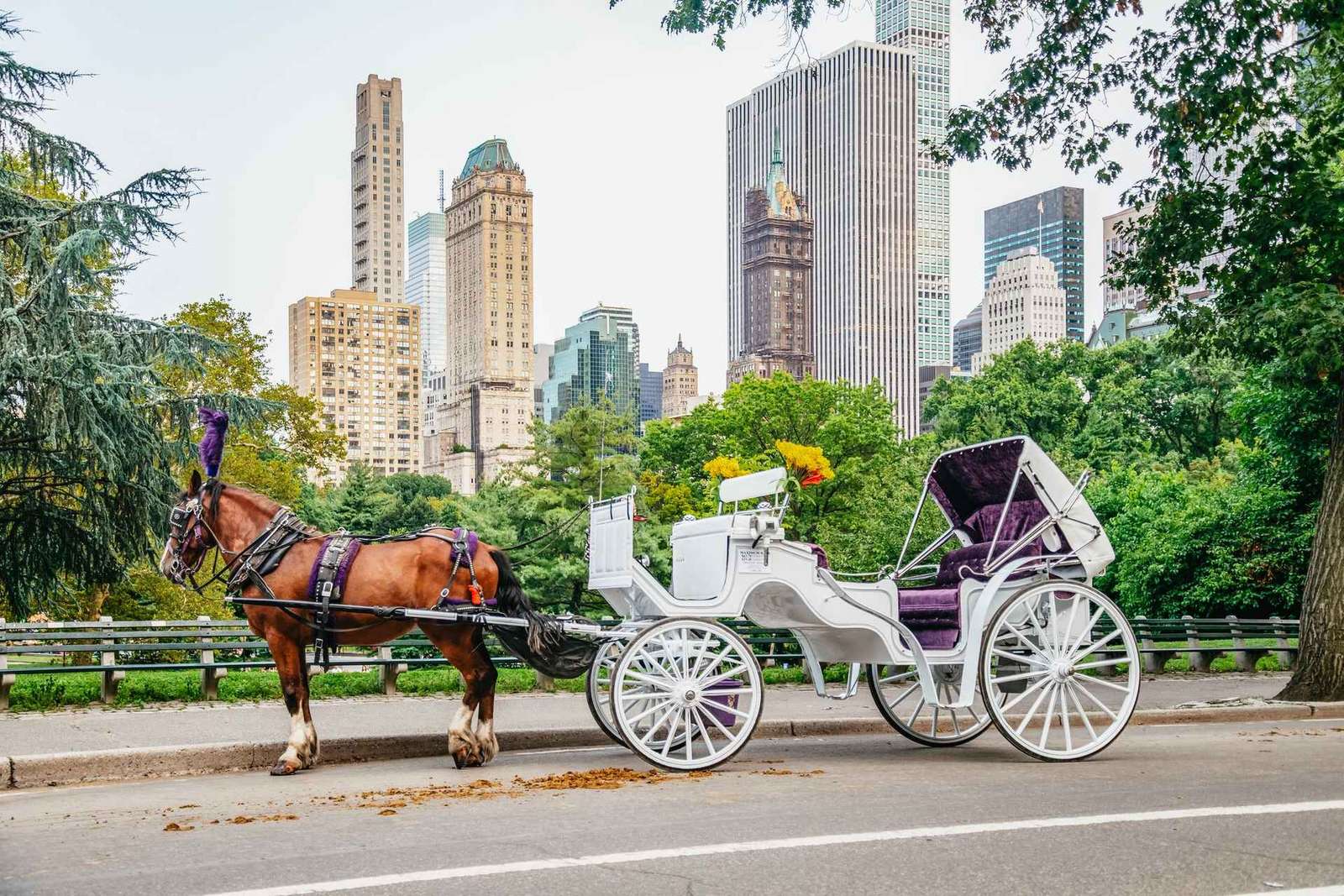 NUEVA YORK Paseo guiado en coche de caballos por Central Park