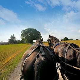 Desde Nueva York Excursión de un día a Filadelfia y al País Amish