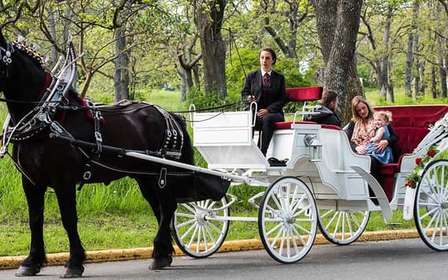 Paseo guiado en coche de caballos por Central Park y NYC