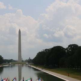 Desde NYC: Excursión de un día con guía a Washington DC en furgoneta o autobús