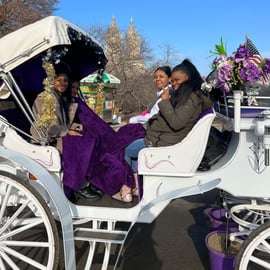 NYC: Paseo privado en coche de caballos por Central Park con guía