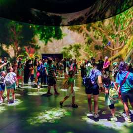Nueva York: ticket de entrada al Museo Americano de Historia Natural
