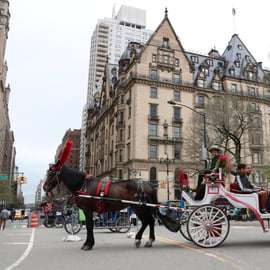 Nueva York: paseo en carruaje de caballos por Central Park