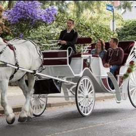 NYC: Paseo privado en coche de caballos por Central Park con guía