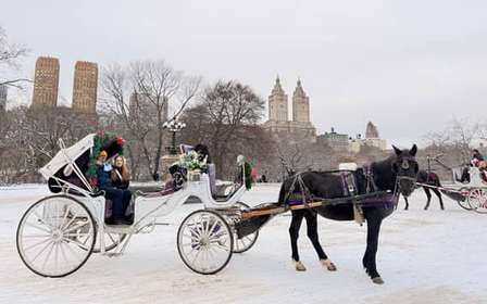 Nueva York: increíble paseo en carruaje de caballos por Central Park con guía