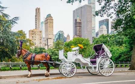 NUEVA YORK Paseo guiado en coche de caballos por Central Park