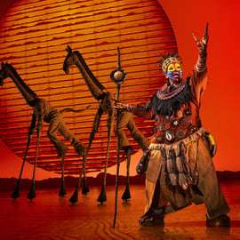 Nueva York The Lion King Broadway Ticket de entrada