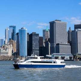 NYC: crucero rápido de la Estatua de la Libertad (50 min)