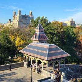 Ciudad de Nueva York: Lo mejor de Central Park en bici o eBike