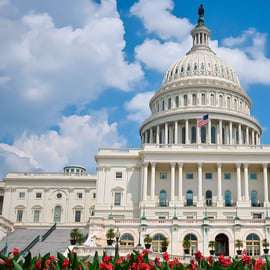 Desde NYC: Excursión de un día con guía a Washington DC en furgoneta o autobús