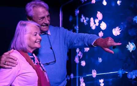 American Dream: ticket de entrada al acuario SEA LIFE®