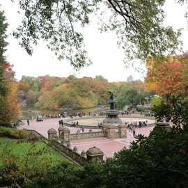 Nueva York: paseo en carruaje de caballos por Central Park
