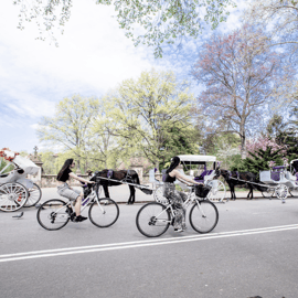 Nueva York: alquiler de bicicletas, bicis eléctricas y scooters en Central Park
