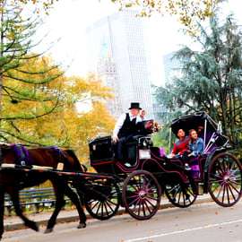 NYC: Paseo en coche de caballos por Central Park (hasta 4 adultos)