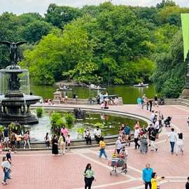 NYC: Visita guiada en bicitaxi privado por Central Park (60 min.)