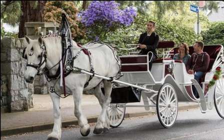 NYC: Paseo privado en coche de caballos por Central Park con guía